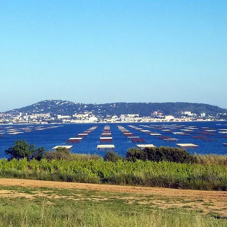 Port Mezua Mèze
