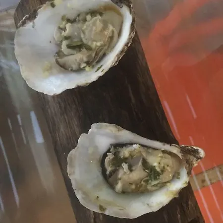 Port Mezua Lejlighed